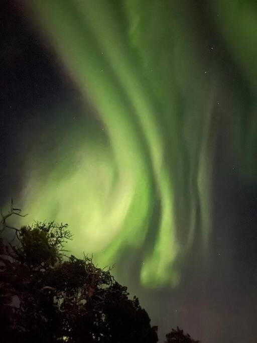 Apartament Leilighet I Rolig Gate Med Utsikt Og Gratis Parkering Tromsø Zewnętrze zdjęcie